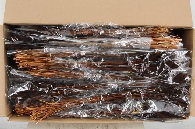 <h4>DF Lagurus Bs 50g/70cm Brown</h4>