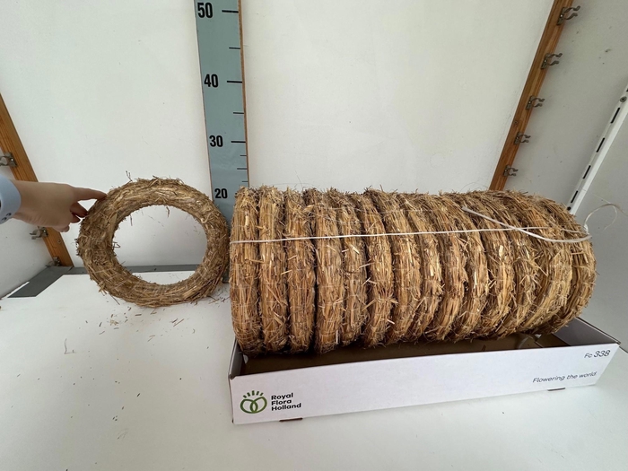 <h4>HUIS EN TUINDECO H%</h4>