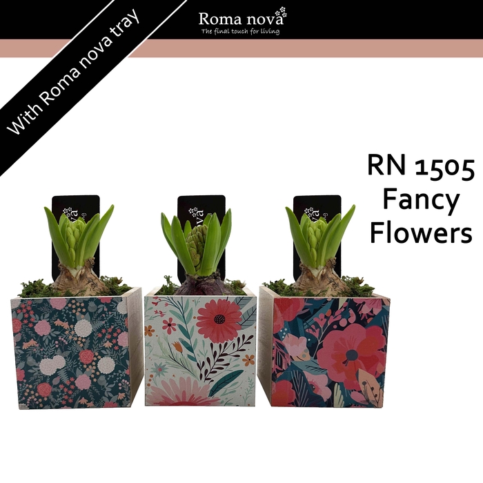 <h4>1505 - Fancy Flowers (Hyacint)</h4>
