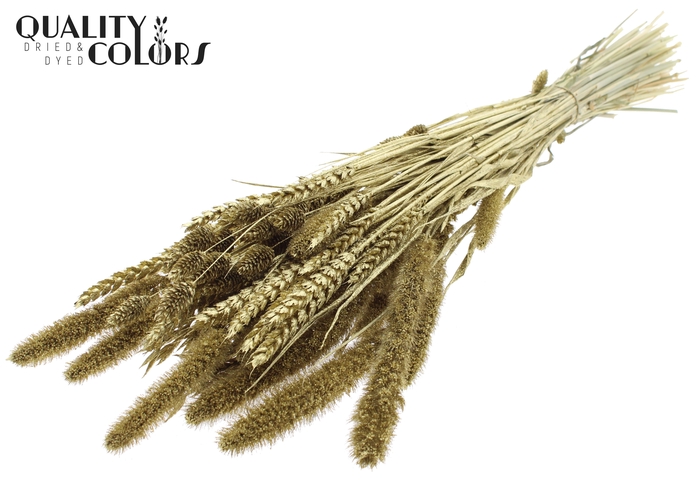 <h4>Dried Flower mix bunch Gold + Glitter</h4>