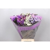 LIM S MIXED IN BUNDLE 75/60GR