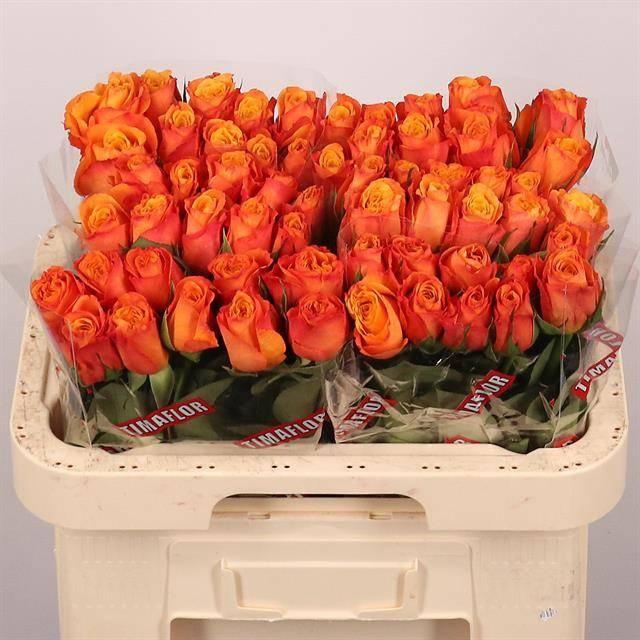 <h4>R Gr Confidential</h4>