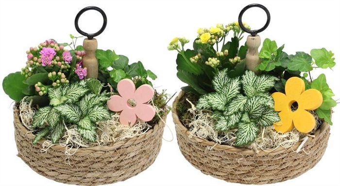 4991 MAND ETAGIERE X3