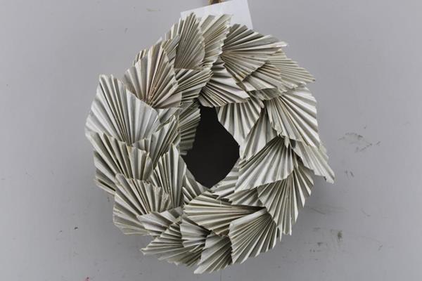 <h4>Droog Krans Palmspeer Wit</h4>