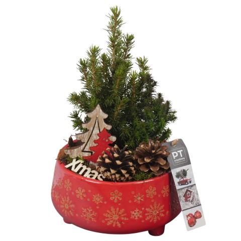 <h4>PTCWW6911 Arrangementen Kerst</h4>