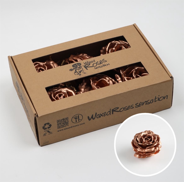 <h4>R Zijde Supreme Koper Wx</h4>