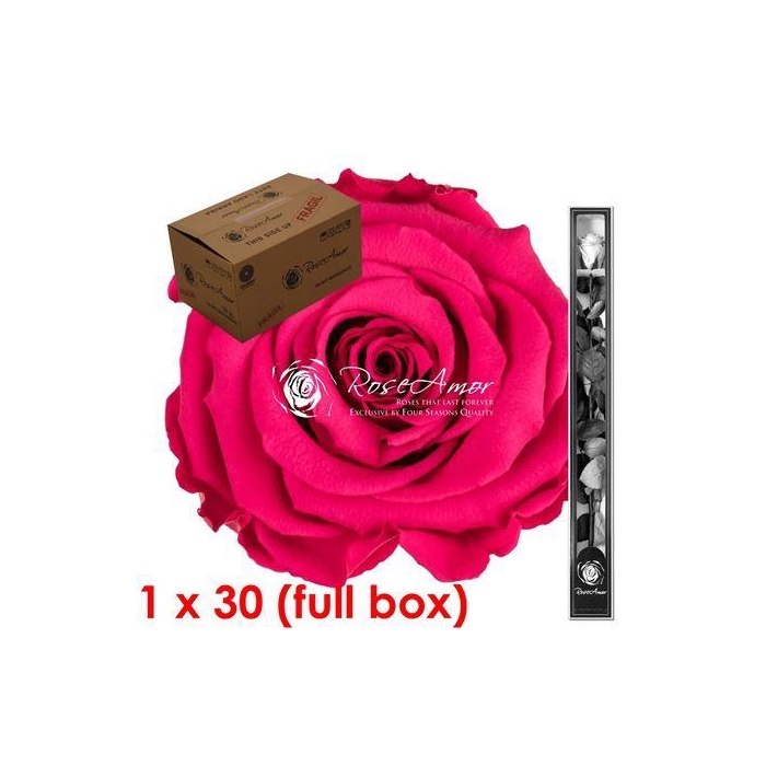 <h4>60cm Stem Pin03 Bulk</h4>