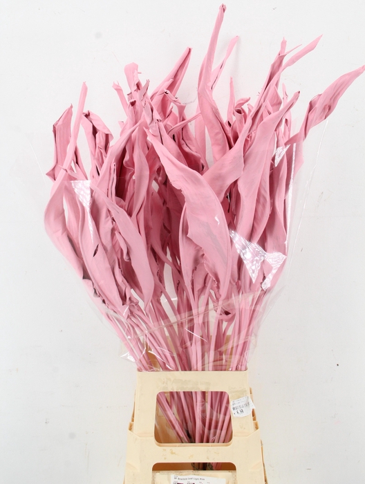 <h4>DROOGBL BEWERKT H%</h4>