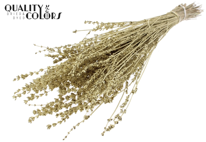 Lavendel per bunch Gold