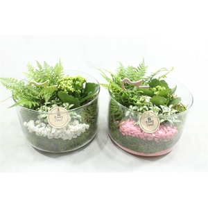 4689 CILINDER XL ROZE/WIT