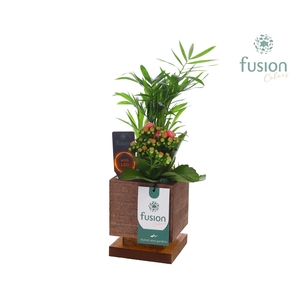 The Green Lighting Garden LED Small met Arrangement