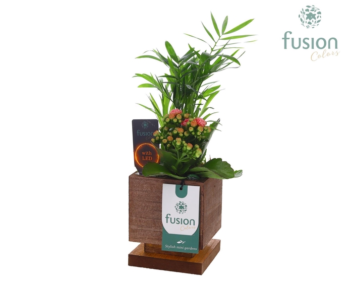 <h4>The Green Lighting Garden LED Small met Arrangement</h4>