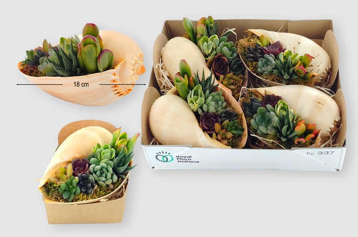 <h4>ARR PL IN SCHELP</h4>