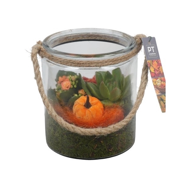 <h4>PTHG3353 Arrangement Autumn Glass in glas vaas</h4>