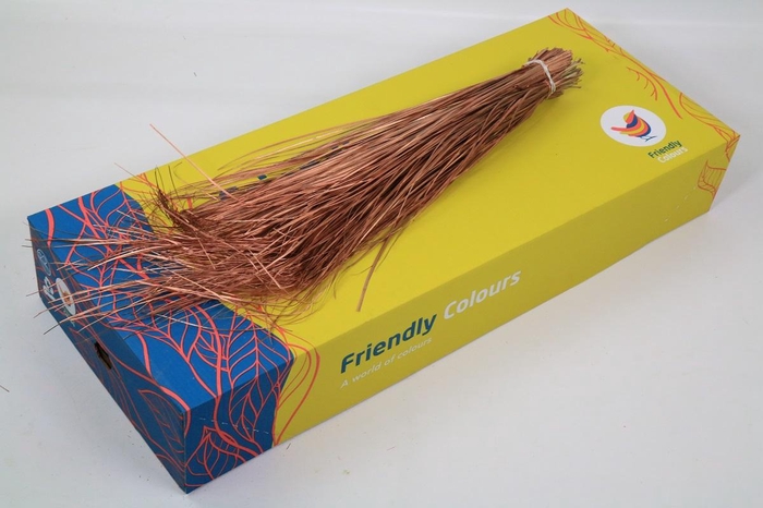 <h4>Beargrass Painted Koper</h4>