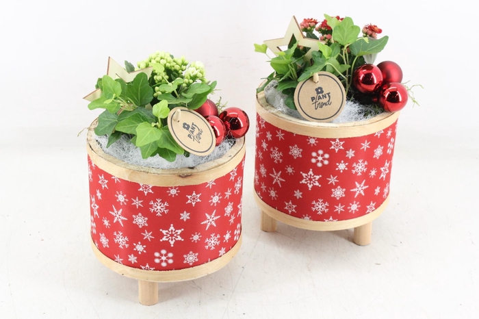<h4>arr2 PL - Kerst pot pootjes 813/3</h4>
