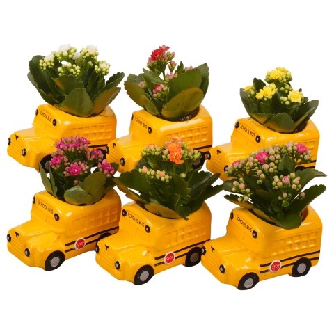 <h4>Opm Pt PTBTS1847 Back To School Keramiek Schoolbus</h4>