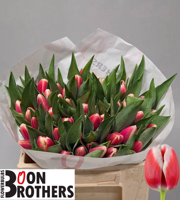 <h4>TU EN OUTFIT</h4>