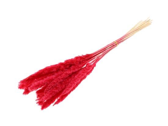 Bunch Fluffy Pampas  Slv 70g L75