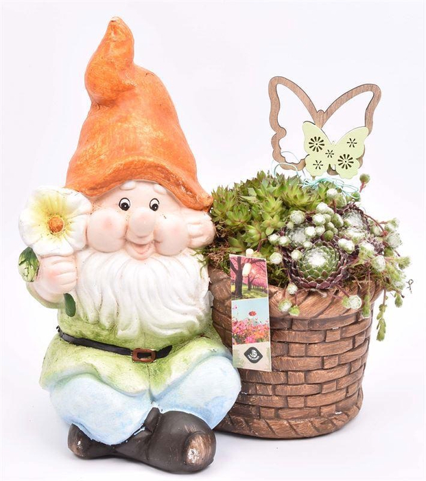 <h4>Cement kabouter met bloem 25x18.5cm</h4>