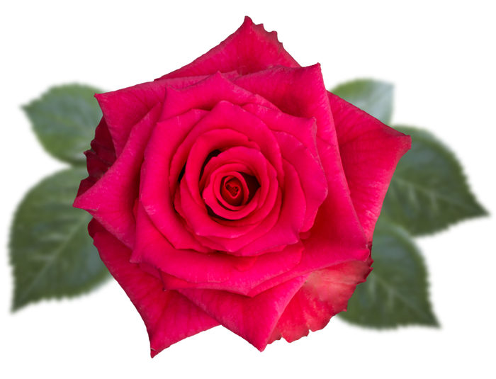 <h4>R GR HOT EXPLORER Naranjo</h4>