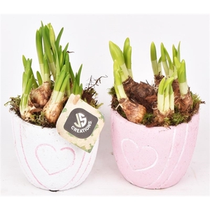 Cement pot met hart decor mix 10cm