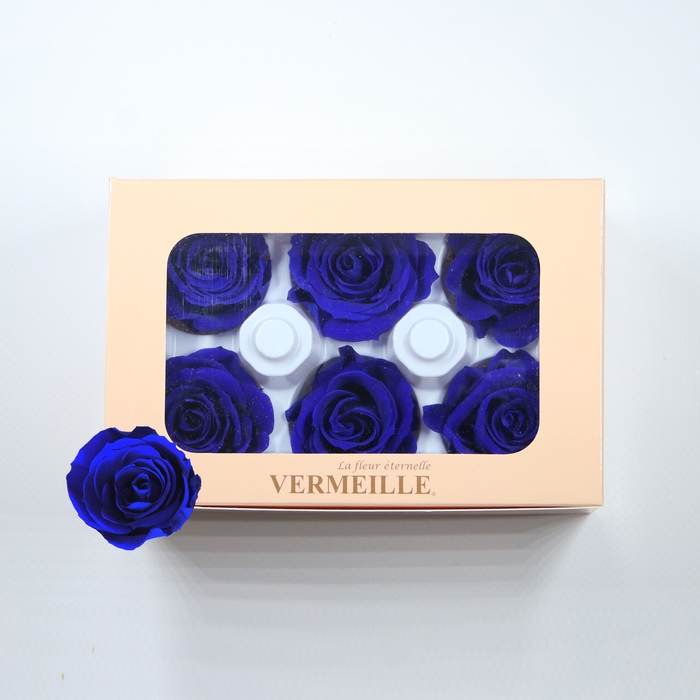 <h4>Rose Ines Sapphire Blue</h4>