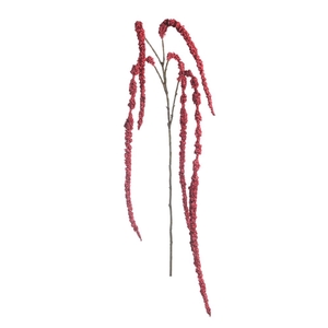 Af Amaranthus X5 L107cm Red