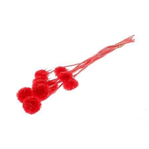 Pres Scabiosa 10pc Red Bunch Slv