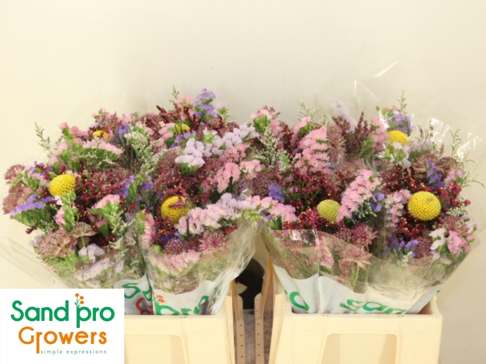 <h4>GEM ZOMERBOEKET</h4>