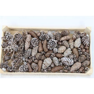 PINECONE MIX WAX CARAMEL