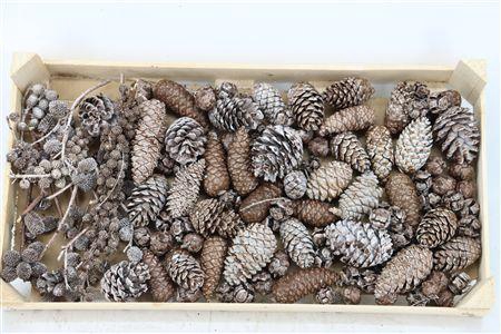 <h4>PINECONE MIX WAX CARAMEL</h4>