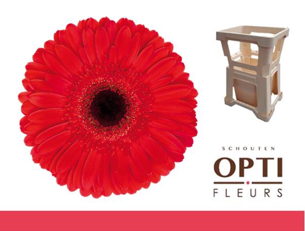 <h4>GE GR DYNAMIC-Water</h4>