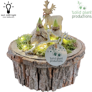 BSMH001 Bark S Medium Grey Hyacint + LED