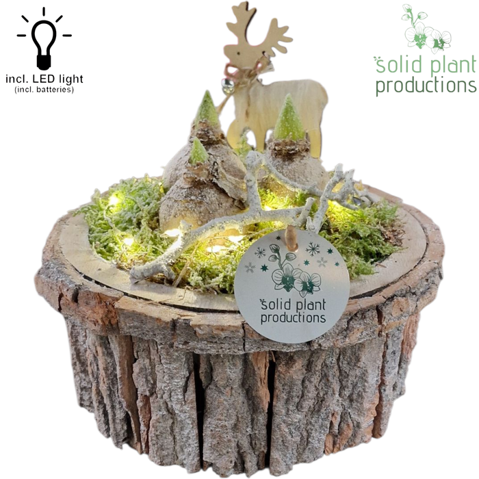 <h4>BSMH001 Bark S Medium Grey Hyacint + LED</h4>