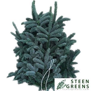 Abies Nob Blauw5 Kilo5 Kilo Wit Band Extra