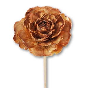 Cedar Rose O/s Natural