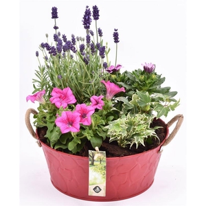 Zink schaal rood hart decor 25cm