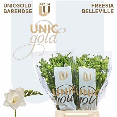 <h4>Fr Du Belleville White</h4>