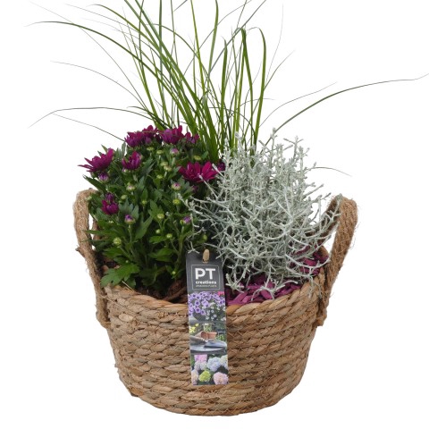 <h4>PTSO7210 Arrangementen Tuinplanten</h4>