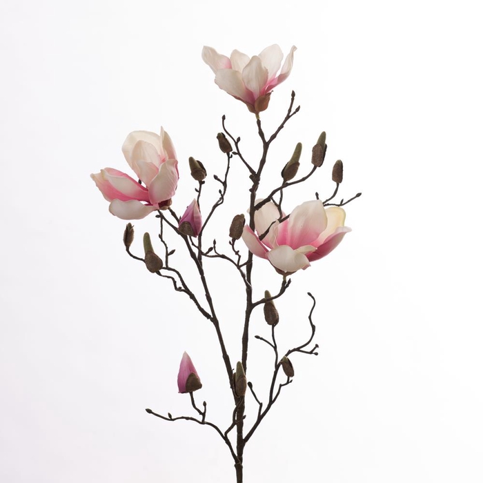 <h4>Af Magnolia L86cm Cream/pink</h4>