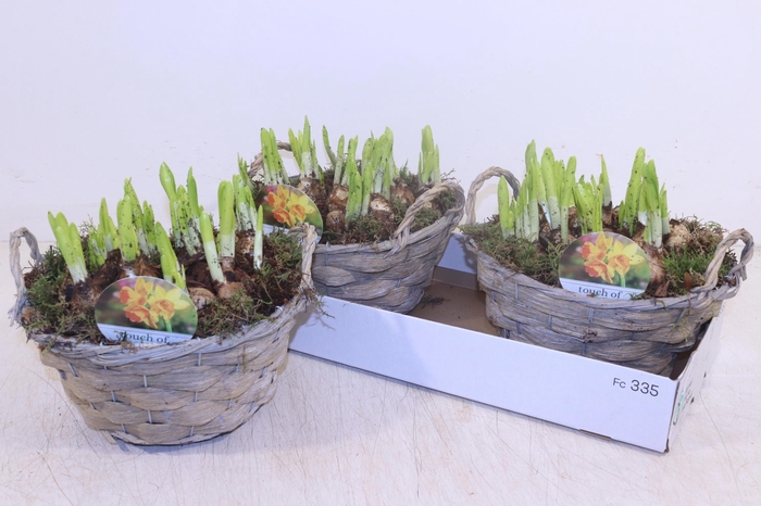 <h4>ARR N TETE A TETE</h4>