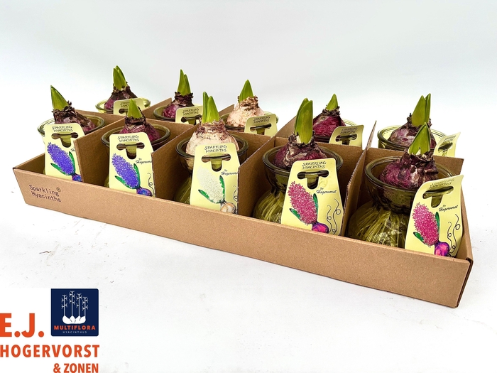 <h4>ARR PL IN SCHAAL</h4>