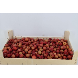 Sier Malusappel Red 5 Kg P Box
