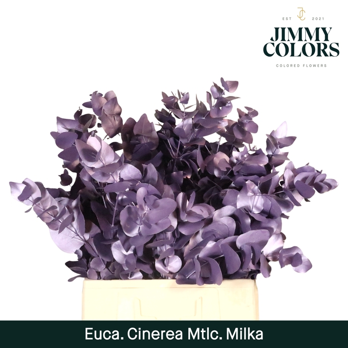 <h4>Cinerea per bos 200g Metallic milka</h4>