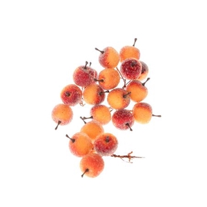 STEM APPLE 20 PCS L10D3 PER DOOS ORANGE 20 STUPS