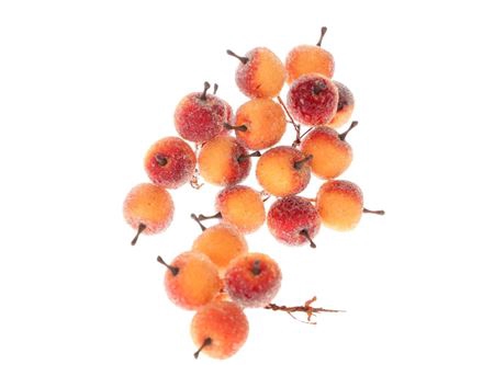 <h4>STEM APPLE 20 PCS L10D3 PER DOOS ORANGE 20 STUPS</h4>