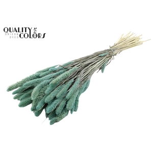 Setaria per bunch Intense Frosted Light Blue