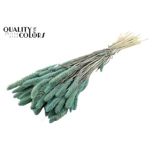 Setaria per bunch Bleached  Frosted Light Blue