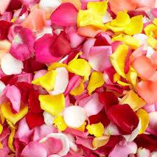 Rose Petals